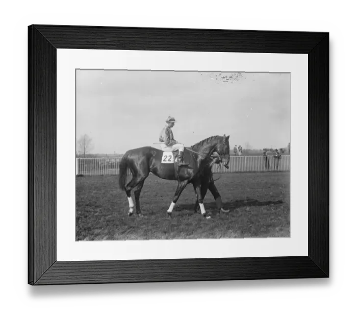 Framed Print : Another big race for Pat Donoghue. Pat Donoghue on Rock Fire after winning Framed Print : Another big race for Pat Donoghue. Pat Donoghue on Rock Fire after winning