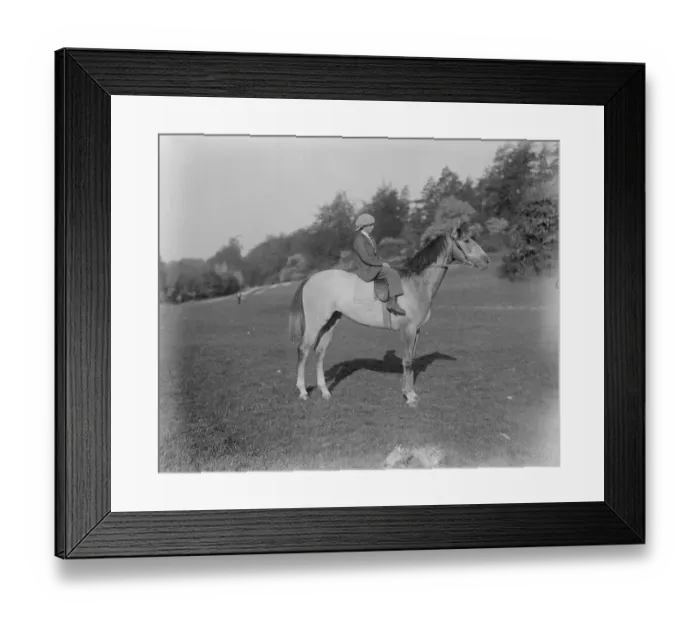 Framed Print : Derby week at Epsom. Vics Choice. 29 May 1922 Framed Print : Derby week at Epsom. Vics Choice. 29 May 1922