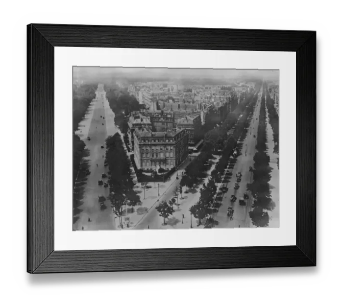 Framed Print : Paris Boulevards threatened with loss of their famous trees. A view from the Arc de Triomphe Framed Print : Paris Boulevards threatened with loss of their famous trees. A view from the Arc de Triomphe