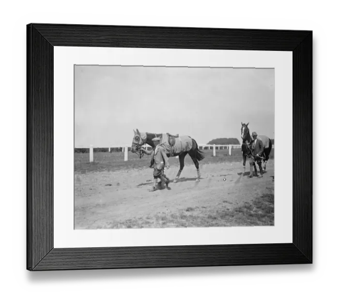 Framed Print : Derby Favourites arrive at Epsom. St Louis ( on right ) the present Derby favourite Framed Print : Derby Favourites arrive at Epsom. St Louis ( on right ) the present Derby favourite