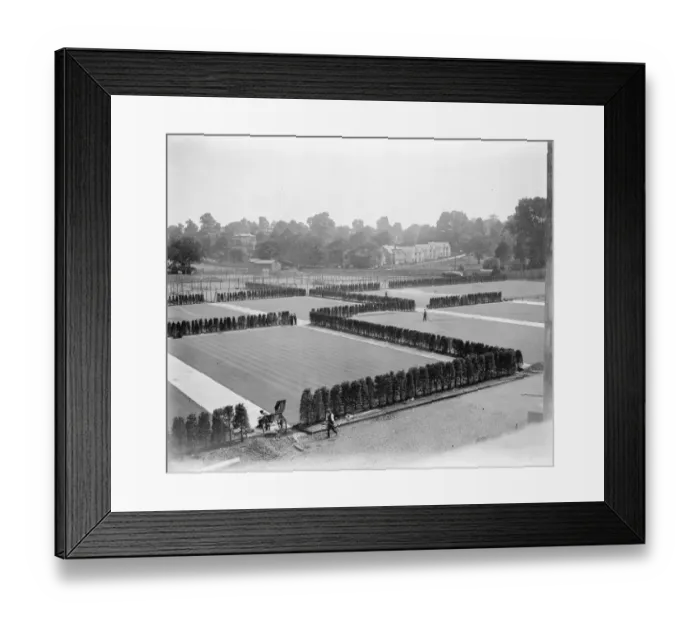 Framed Print : Wonderful Wimbeldon tennis enclosure nearing completion 9 June 1923 Framed Print : Wonderful Wimbeldon tennis enclosure nearing completion 9 June 1923