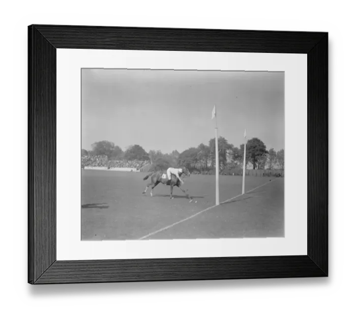Framed Print : 10, 000 watch Anglo American trial Polo America beaten at Hurlingham on Whit Monday 17