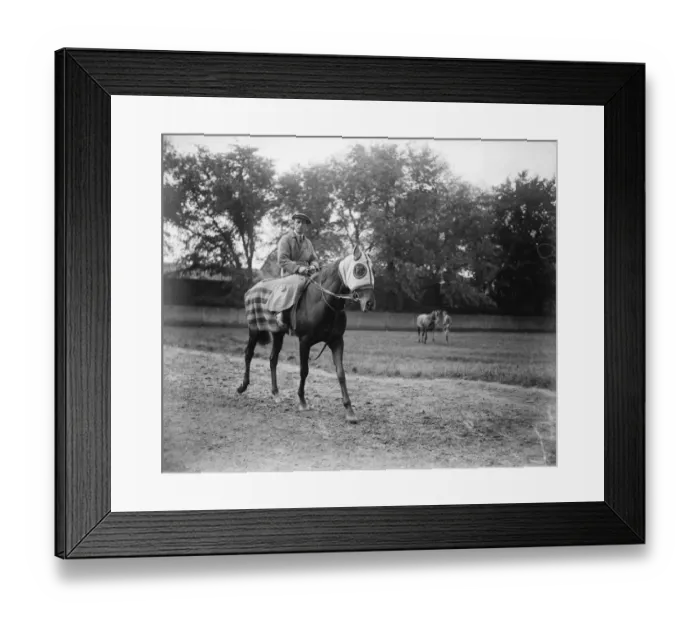 Framed Print : The Epsom Derby Mr B Irishs horse, Papyrus which will bes Donoghue s Framed Print : The Epsom Derby Mr B Irishs horse, Papyrus which will bes Donoghue s
