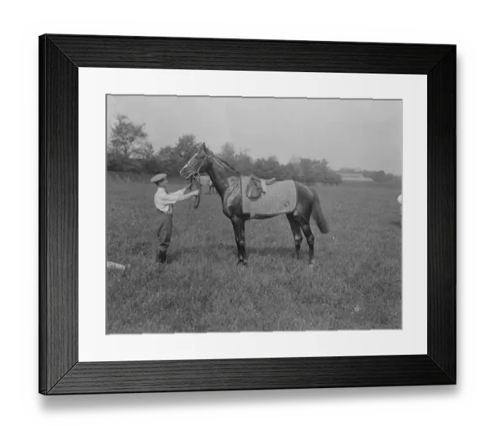 Framed Print : One of the favourites for the Derby. Re Echo. 29 May 1922 Framed Print : One of the favourites for the Derby. Re Echo. 29 May 1922