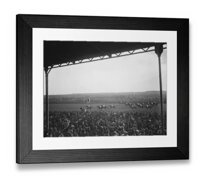 Framed Print : The French horse Masked Marvel wins the Cambridgeshire at Newmarket The finish of the race Framed Print : The French horse Masked Marvel wins the Cambridgeshire at Newmarket The finish of the race