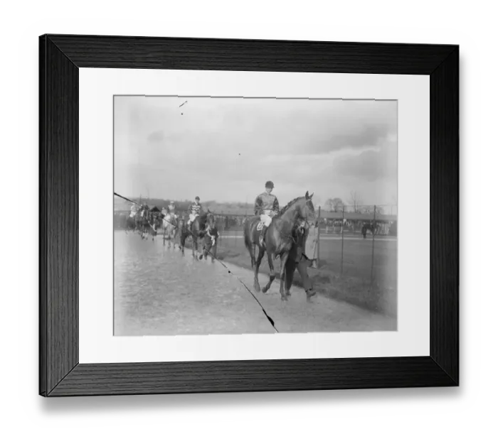 Framed Print : At the Newbury Races. The Kings horse, Weathervane leads the parade. 14
