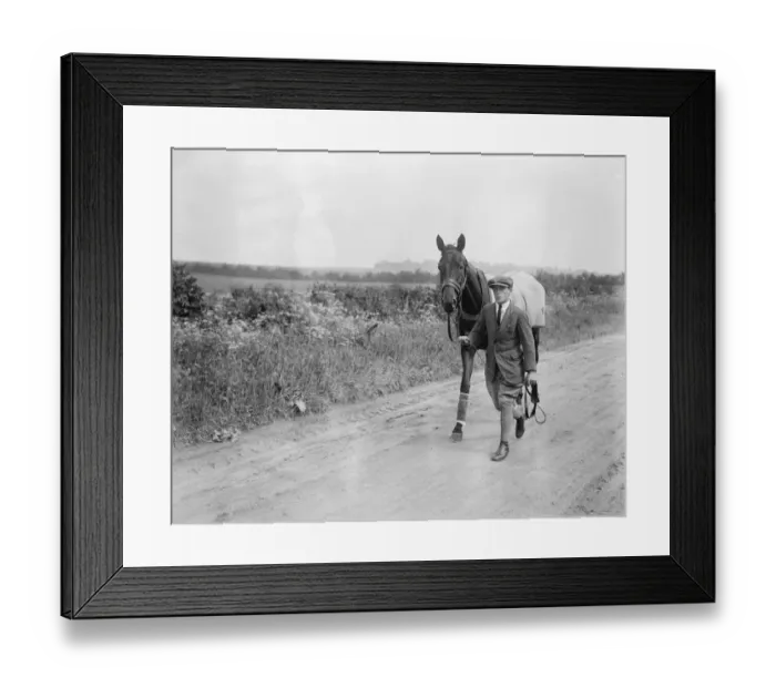 Framed Print : Brownhylda The racehorse. 3 June 1924 Framed Print : Brownhylda The racehorse. 3 June 1924
