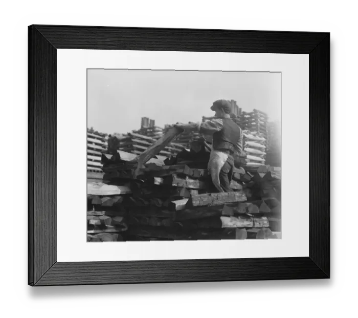 Framed Print : Cricket Bat Making at John Wisdens Stacks of selected willow logs to be made Framed Print : Cricket Bat Making at John Wisdens Stacks of selected willow logs to be made