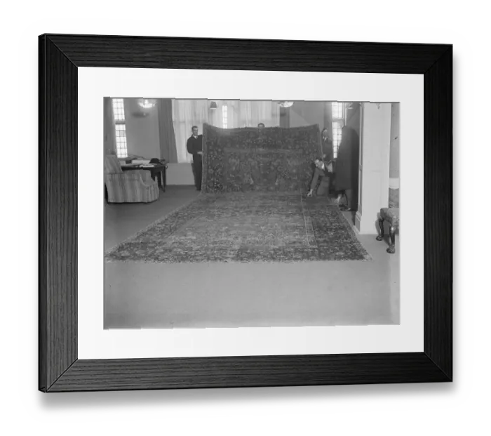 Framed Print : The ? 100, 000 carpet A wonder carpet which has just been brought to London by the purchasers Framed Print : The ? 100, 000 carpet A wonder carpet which has just been brought to London by the purchasers