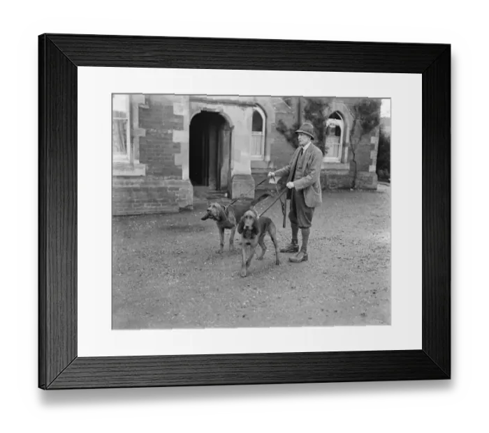 Framed Print : Dog detectives. Man hunting trials at Savernake. Colonel Johnson with his bloodhounds Framed Print : Dog detectives. Man hunting trials at Savernake. Colonel Johnson with his bloodhounds
