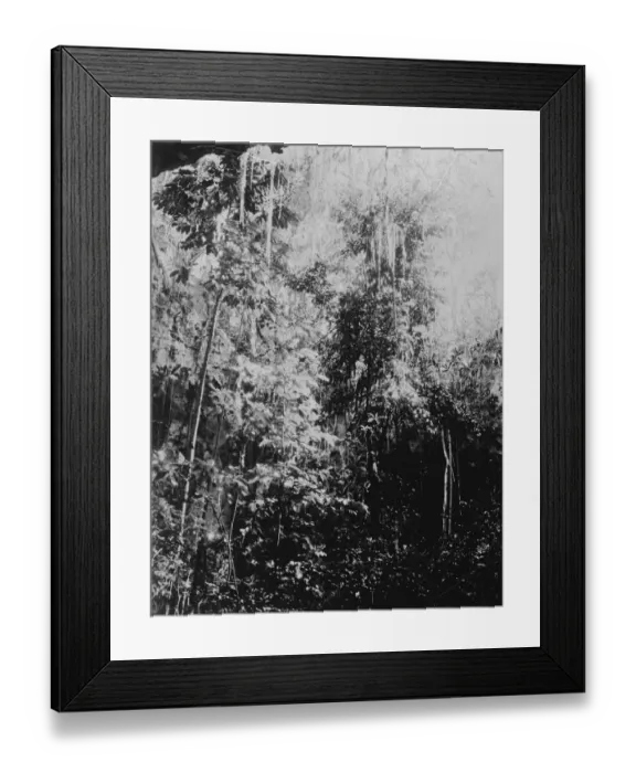 Framed Print : Yucatan exploration. 1926 Framed Print : Yucatan exploration. 1926