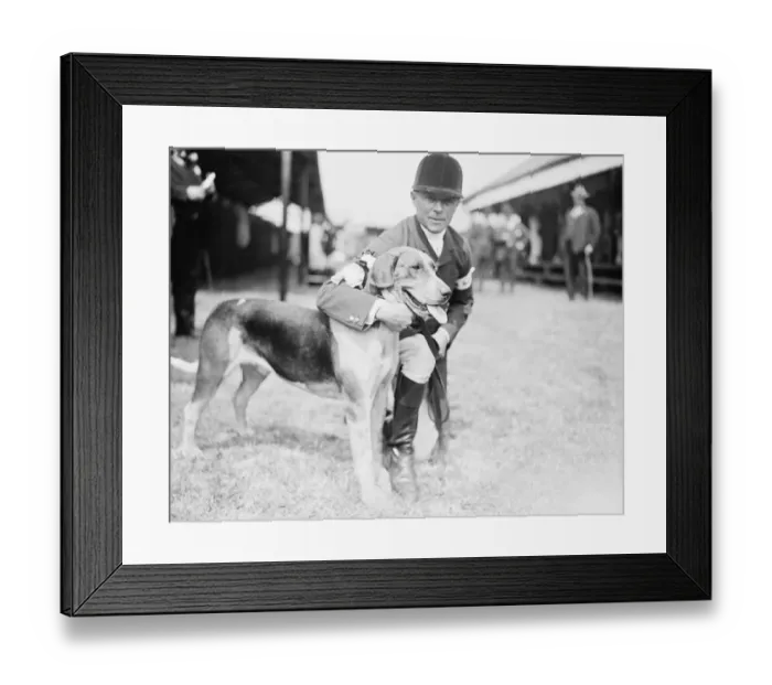 Framed Print : Peterborough foxhound show was held at Peterborough on Wednesday. Tom Newman