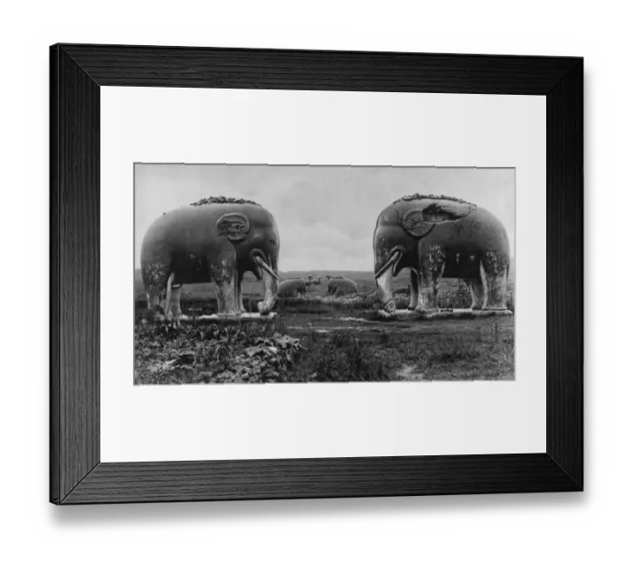 Framed Print : Now in Peril of capture. Nanking, some of the stone elephants in the Zoological Framed Print : Now in Peril of capture. Nanking, some of the stone elephants in the Zoological