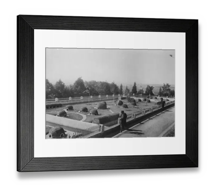 Framed Print : Curious snake houses. The famous snake colony in Sao Paulo, Brazil, the institution Butantan Framed Print : Curious snake houses. The famous snake colony in Sao Paulo, Brazil, the institution Butantan