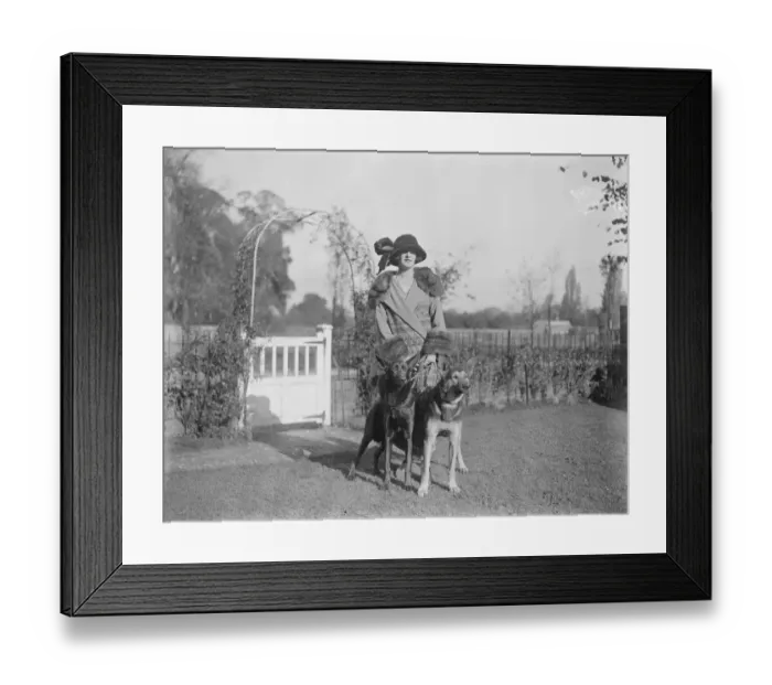Framed Print : Mrs G Duller trains thoroughbred horses and alsatian wolfhounds at her residence at Epsom Framed Print : Mrs G Duller trains thoroughbred horses and alsatian wolfhounds at her residence at Epsom