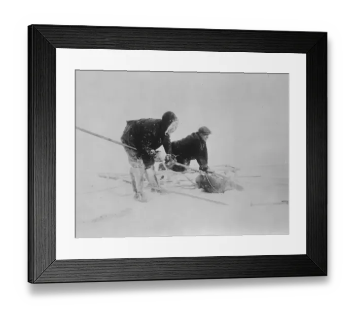 Framed Print : Daring attempt to drift across polar sea. Helplessly locked in ice for twenty four months Framed Print : Daring attempt to drift across polar sea. Helplessly locked in ice for twenty four months