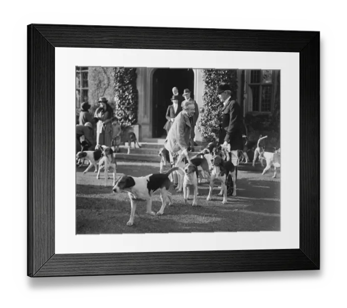 Framed Print : Old Berkeley Hounds meet at Chequers. Mr Baldwin making friends with the hounds