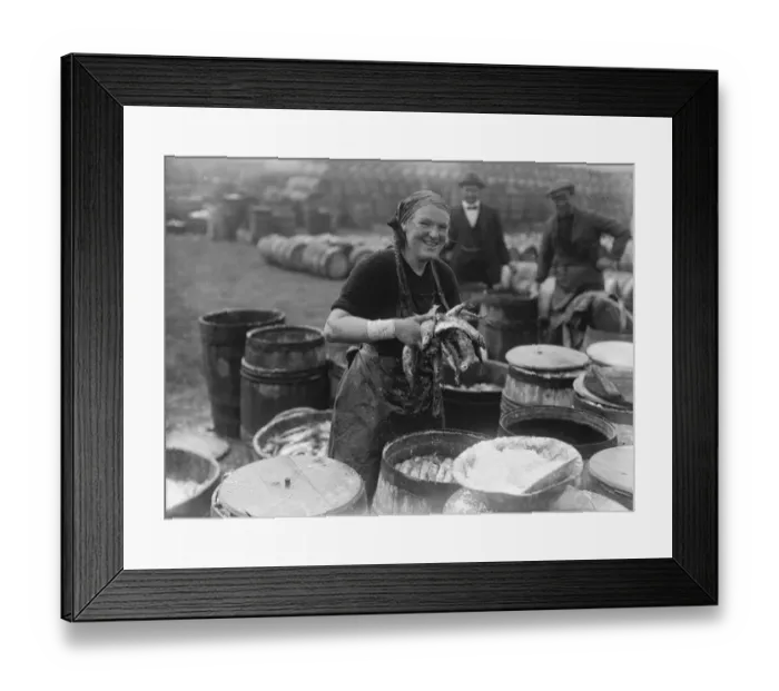 Framed Print : Herring harvest at Lowestoft Scotch fisher girls gutting and packing the fish Framed Print : Herring harvest at Lowestoft Scotch fisher girls gutting and packing the fish