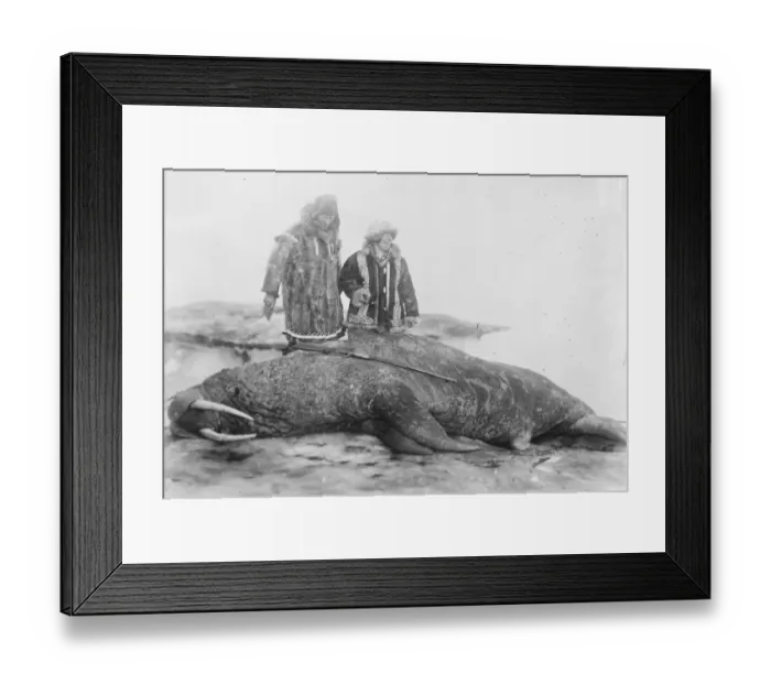 Framed Print : Arctic expedition of Captain F E Kleinschmidt. Captain and Mrs Kleinschmidt with