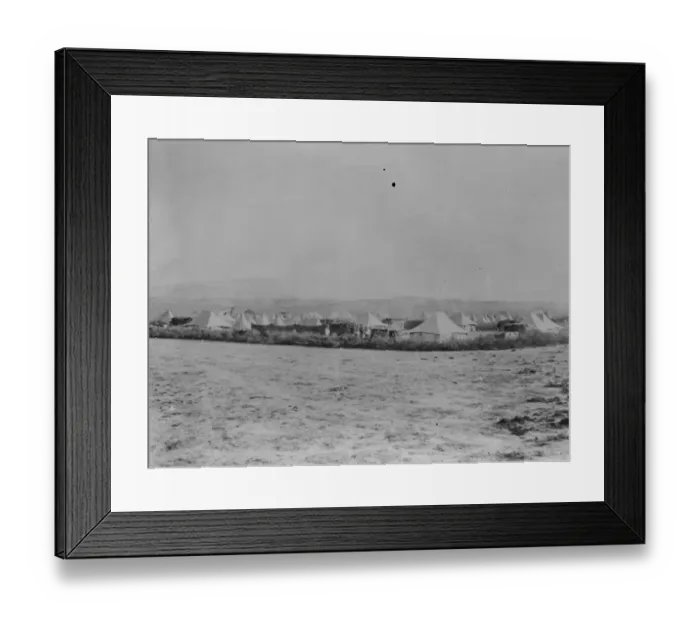 Framed Print : The British Military operations in Somaliland. Interesting new photographs. The camp Framed Print : The British Military operations in Somaliland. Interesting new photographs. The camp
