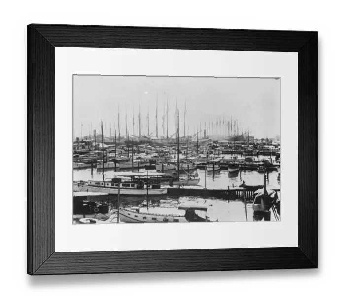 Framed Print : Miami harbour, which has been destroyed by a hurricane. 22 September 1926 Framed Print : Miami harbour, which has been destroyed by a hurricane. 22 September 1926