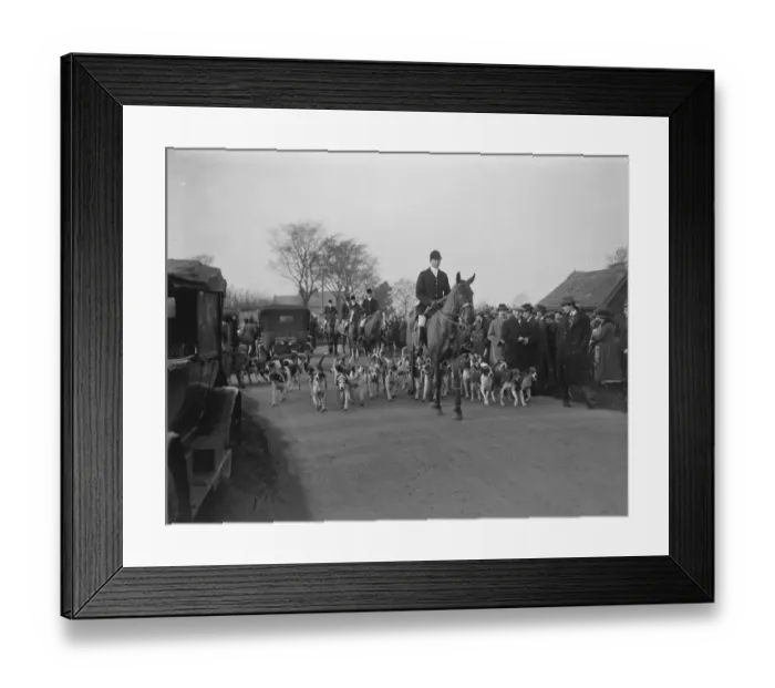 Framed Print : Opening meet of the Quorn Hunt at Kirby Gate. The huntsman with the pack. 10 Framed Print : Opening meet of the Quorn Hunt at Kirby Gate. The huntsman with the pack. 10