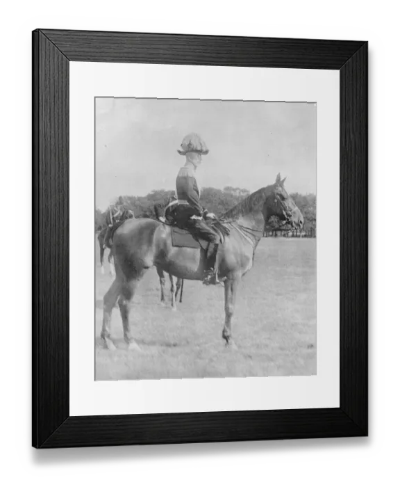 Framed Print : King of Sweden Reviews his troops King Gustav of Sweden reviewing his troops 13 Framed Print : King of Sweden Reviews his troops King Gustav of Sweden reviewing his troops 13