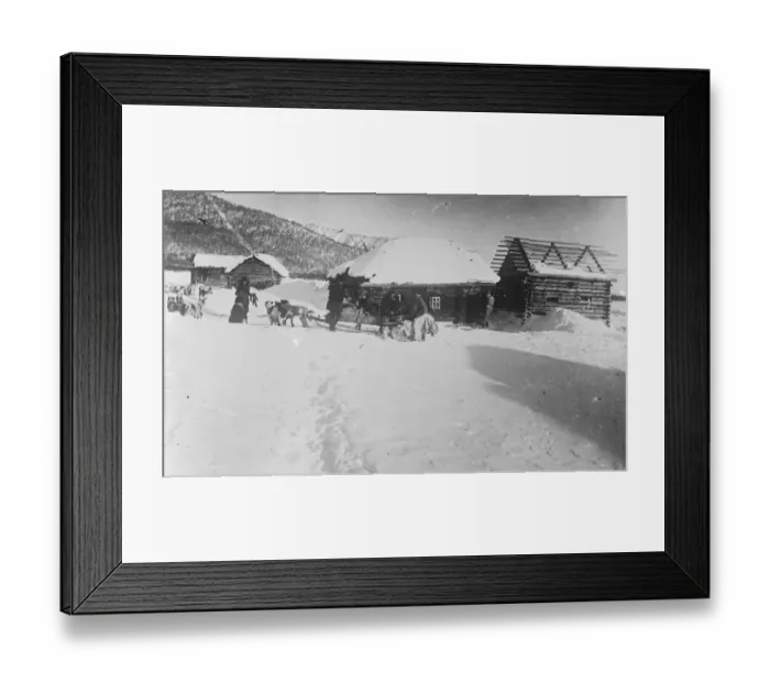Framed Print : Feeding the sledge dogs in Russia 1920
