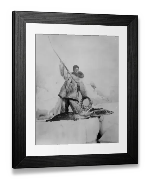 Framed Print : Arctic expedition of Captain F E Kleinschmidt. A member of the Expedition with a harpooned seal