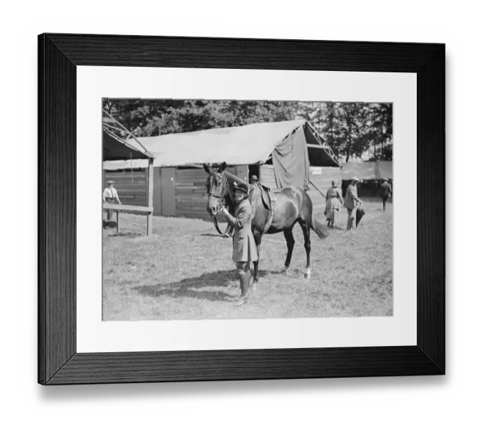Framed Print : Tring Agricultural show. Miss Sheila Maloney with Little Wonder Framed Print : Tring Agricultural show. Miss Sheila Maloney with Little Wonder