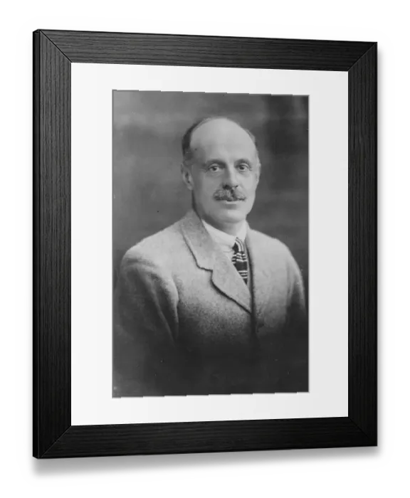 Framed Print : Sir Henry William Ramsey Conservative candidate, Holland with Boston division 7 Framed Print : Sir Henry William Ramsey Conservative candidate, Holland with Boston division 7