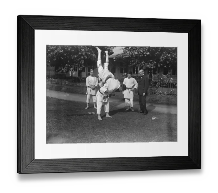 Framed Print : Japan societys garden party. The Japan Society held its garden party in the gardens