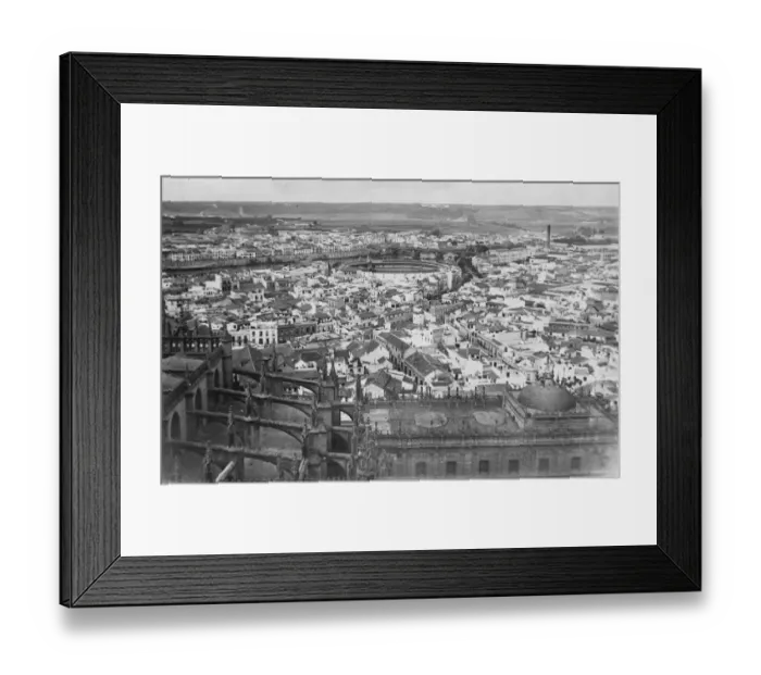 Framed Print : Scene of the forthcoming bull fight in honour of the Prince of Wales. The Bull Framed Print : Scene of the forthcoming bull fight in honour of the Prince of Wales. The Bull
