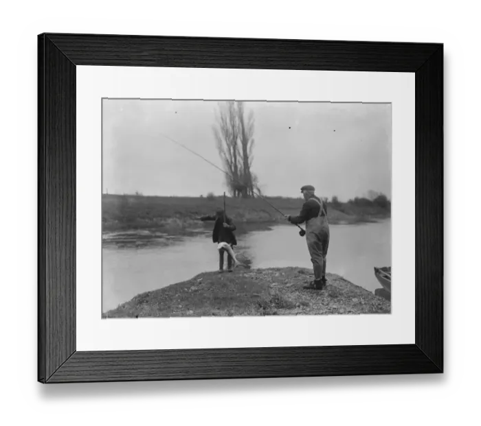Framed Print : Salmon Fishing on the Wye at Hampton Bishop. Just gaffed, success 30 September 1922