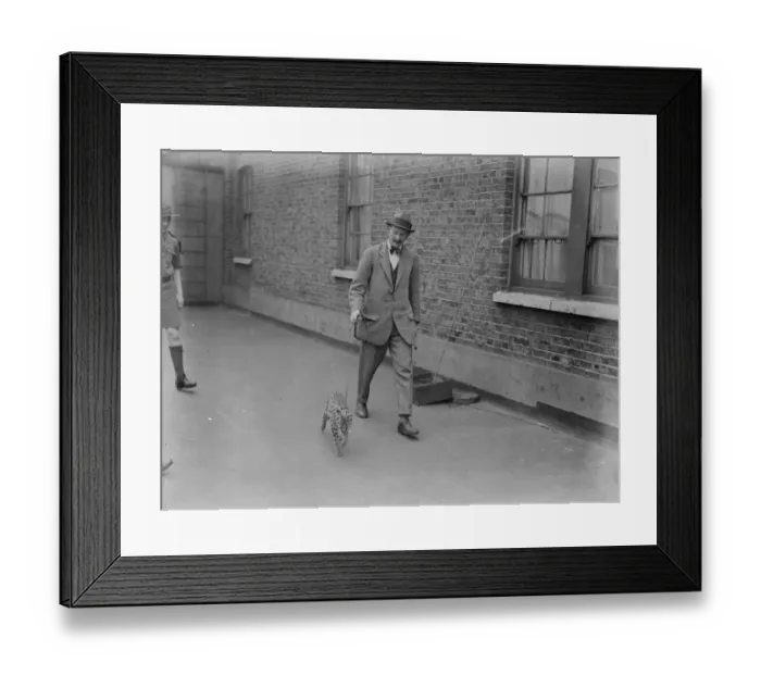 Framed Print : The Tutankhamen cat arrives in London. The mascot of the Watu Wa Miti Scout tribe makes a 10 Framed Print : The Tutankhamen cat arrives in London. The mascot of the Watu Wa Miti Scout tribe makes a 10
