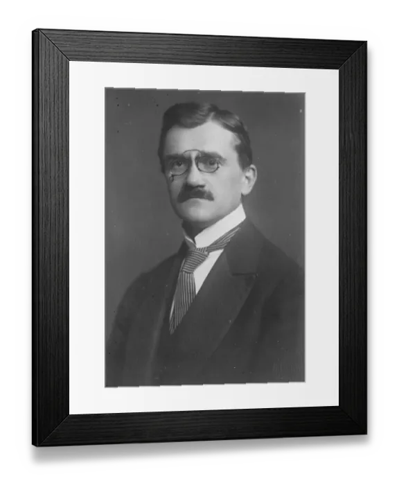 Framed Print : To study taxation in England. Mr Charles Englis, the Czechoslovakian Minister of Finance Framed Print : To study taxation in England. Mr Charles Englis, the Czechoslovakian Minister of Finance
