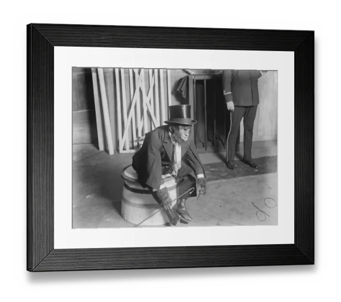 Framed Print : Man as a monkey French Actors wonderful make up for play at little theatre M Jacques Lerner Framed Print : Man as a monkey French Actors wonderful make up for play at little theatre M Jacques Lerner