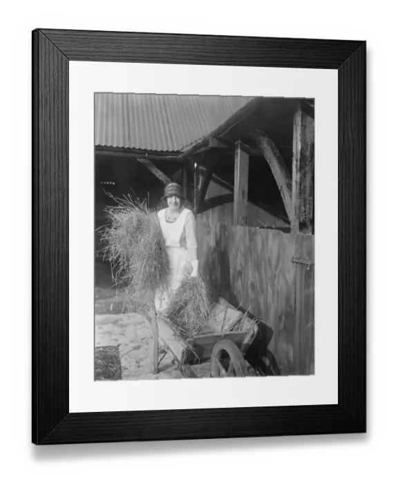 Framed Print : Lady Terrington a Candidate for South Bucks. Lady Terrington, Liberal candidate for South Bucks Framed Print : Lady Terrington a Candidate for South Bucks. Lady Terrington, Liberal candidate for South Bucks
