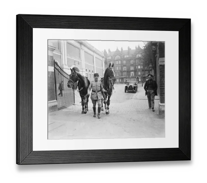 Framed Print : Great Horse Show at Olympia A French private bringing in horses from exercise Framed Print : Great Horse Show at Olympia A French private bringing in horses from exercise