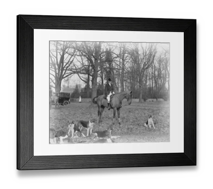 Framed Print : Hertfordshire hunt meet. There was a meet of the Hertfordshire Hounds at Cole Green Framed Print : Hertfordshire hunt meet. There was a meet of the Hertfordshire Hounds at Cole Green