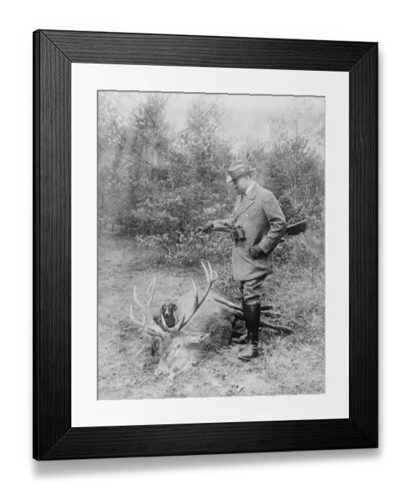 Framed Print : A Royal Stag King of Romania who is enjoying a few weeks hunting in Carpathians