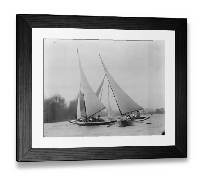 Framed Print : Tamesis clue hold their annual regatta at Teddington. One of the races in progress Framed Print : Tamesis clue hold their annual regatta at Teddington. One of the races in progress