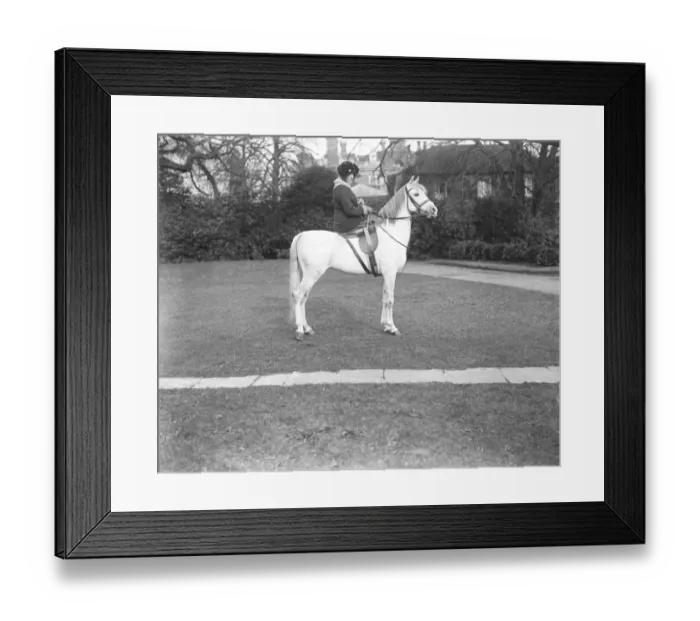 Framed Print : Lady Wentworths Arab Thouroughbreds Crabbet Park Stud, a horse breeding farm Framed Print : Lady Wentworths Arab Thouroughbreds Crabbet Park Stud, a horse breeding farm