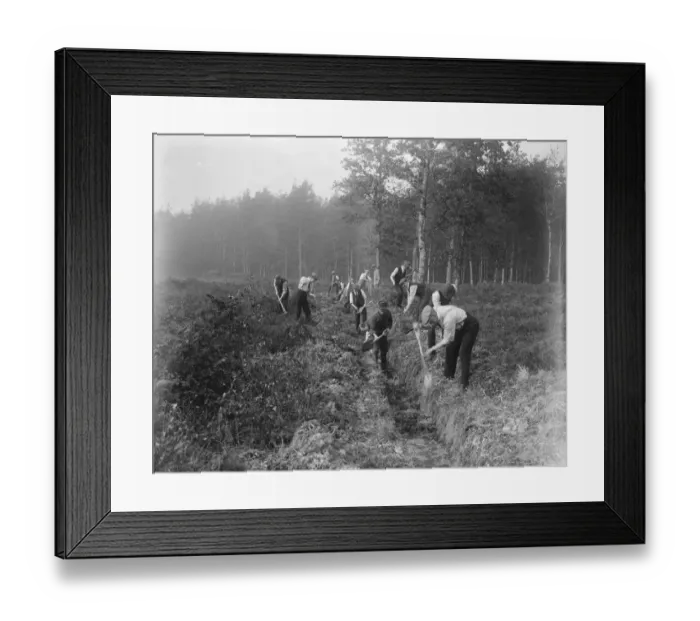 Framed Print : At Brockenhurst in the New Forest, Hampshire, the Forestry Commissions School Framed Print : At Brockenhurst in the New Forest, Hampshire, the Forestry Commissions School