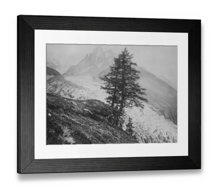 Framed Print : Mont Blanc from Chamonix. Showing the pyramid of forest firs November 1920 Framed Print : Mont Blanc from Chamonix. Showing the pyramid of forest firs November 1920