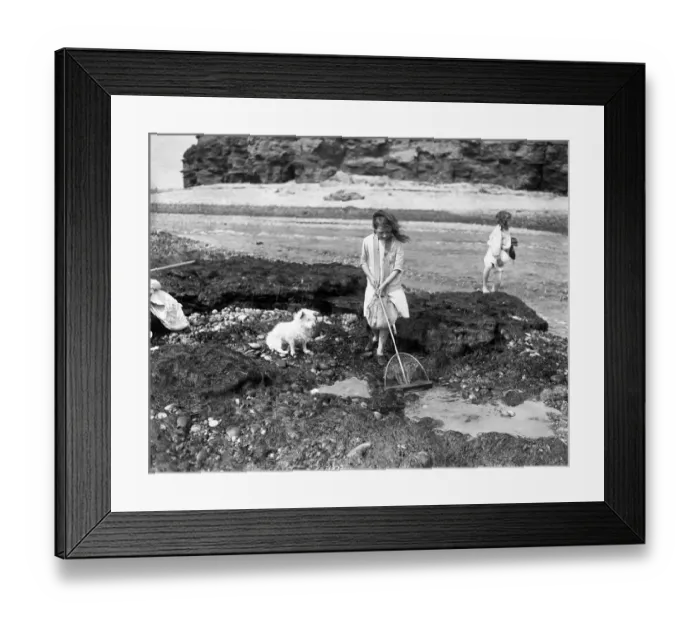 Framed Print : A girl with her pet dog fishing for crabs in rock pools at Budleigh Salterton, Devon