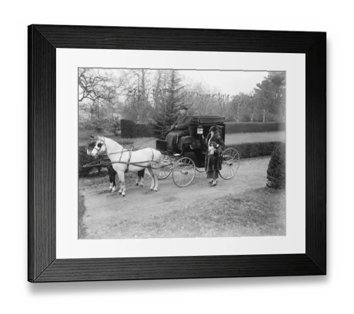 Framed Print : Lady Wentworths Arab Thouroughbreds Lady Wentworth, famous as a breeder of arab Framed Print : Lady Wentworths Arab Thouroughbreds Lady Wentworth, famous as a breeder of arab