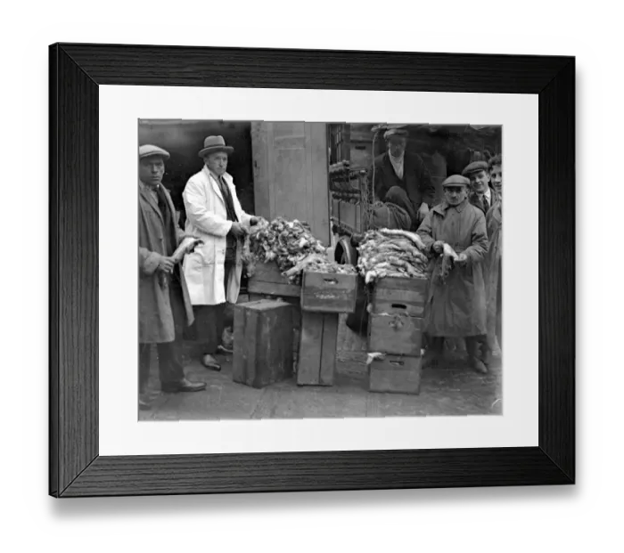 Framed Print : A busy scene at rabbit skin corner. Smithfield Market where thousands of skins Framed Print : A busy scene at rabbit skin corner. Smithfield Market where thousands of skins
