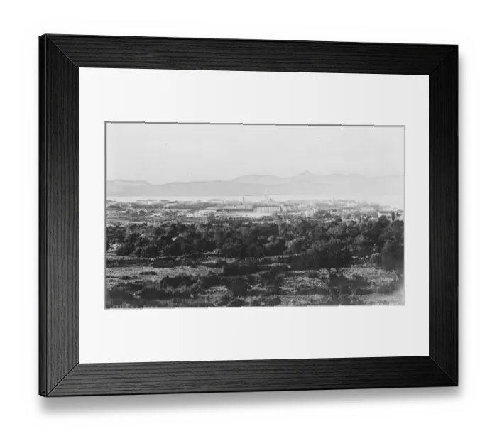 Framed Print : Zara in Turkey 17 November 1919 Framed Print : Zara in Turkey 17 November 1919