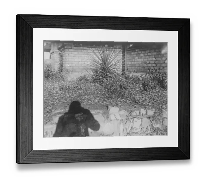 Framed Print : Farmers grim fight with huge clouds of locusts. Flourishing crops destroyed in Framed Print : Farmers grim fight with huge clouds of locusts. Flourishing crops destroyed in